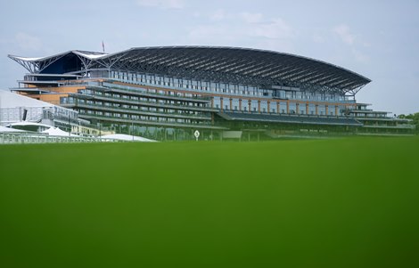 The grandstand as seen from the 5f start<br>
Ascot 15.6.26 Pic: Edward Whitaker The grandstand as seen from the 5f start<br>
Ascot 15.6.26 Pic: Edward Whitaker