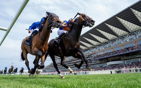 Scandinavia (Ryan Moore) beats Trawlerman (William Buick) in The Gold Cup<br>
Ascot 18.6.26 Pic: Edward Whitaker Scandinavia (Ryan Moore) beats Trawlerman (William Buick) in The Gold Cup<br>
Ascot 18.6.26 Pic: Edward Whitaker