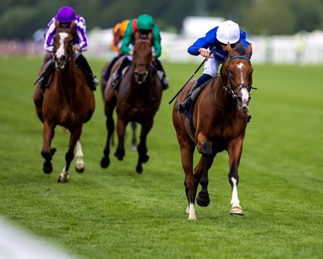 Ombudsman and William Buick wins the Prince Of Wales’s Stakes. Royal Ascot day 2. Photo: Patrick McCann/Racing Post<br>
17.06.2026 Ombudsman and William Buick wins the Prince Of Wales’s Stakes. Royal Ascot day 2. Photo: Patrick McCann/Racing Post<br>
17.06.2026