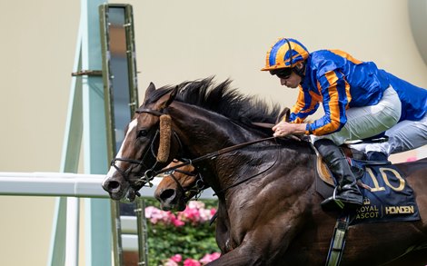 Scandinavia (Ryan Moore) beats Trawlerman (William Buick) in The Gold Cup Ascot 18.6.26 Pic: Edward Whitaker Scandinavia (Ryan Moore) beats Trawlerman (William Buick) in The Gold Cup Ascot 18.6.26 Pic: Edward Whitaker