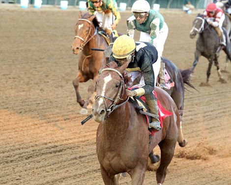How's Al Today, Maiden Win, June 4 2026, Churchill Downs How's Al Today, Maiden Win, June 4 2026, Churchill Downs