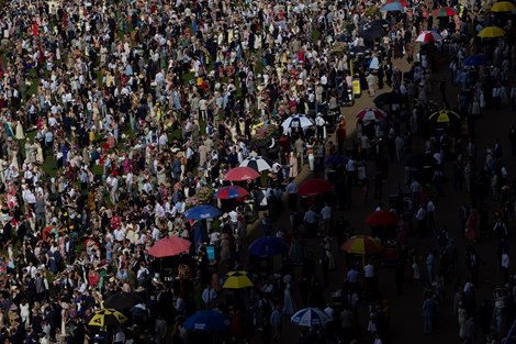 A heaving Queen Anne enclosure.<br>
Royal Ascot day 3.<br>
Photo: Patrick McCann/Racing Post<br>
18.06.2026 A heaving Queen Anne enclosure.<br>
Royal Ascot day 3.<br>
Photo: Patrick McCann/Racing Post<br>
18.06.2026