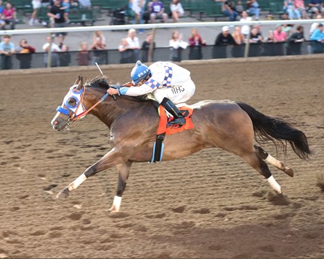 Dickey Bob - Bob Morehouse Stakes - 07-12-23 - R08 - Canterbury Park - Inside Finish Dickey Bob - Bob Morehouse Stakes - 07-12-23 - R08 - Canterbury Park - Inside Finish