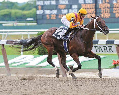 Dominus wins the 2011 Dwyer Stakes at Belmont Park Dominus wins the 2011 Dwyer Stakes at Belmont Park