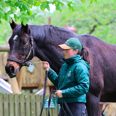Catherine Donworth, a 2026 recipient of a Kentucky Experience Awards through the Gerry Dilger Equine Scholarship Foundation Catherine Donworth, a 2026 recipient of a Kentucky Experience Awards through the Gerry Dilger Equine Scholarship Foundation