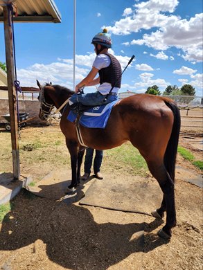 Bryce Bourdieu out for a gallop Bryce Bourdieu out for a gallop