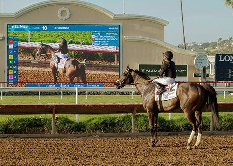 Listenupshance and jockey Emisael Jaramillo win the Grade I, $400,000 Bing Crosby Stakes, Saturday, July 25, 2026 at Del Mar Thoroughbred Club, Del Mar CA. © BENOIT PHOTO Listenupshance and jockey Emisael Jaramillo win the Grade I, $400,000 Bing Crosby Stakes, Saturday, July 25, 2026 at Del Mar Thoroughbred Club, Del Mar CA. © BENOIT PHOTO