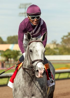 Pamela Ziebarth’s Sweet Azteca, carrying jockey Armando Ayuso, wins the Grade II $200,000 Great Lady M Stakes for the third-straight year Saturday, July 4, 2026 at Los Alamitos Race Course, Cypress, CA. <br>
Benoit Photo Pamela Ziebarth’s Sweet Azteca, carrying jockey Armando Ayuso, wins the Grade II $200,000 Great Lady M Stakes for the third-straight year Saturday, July 4, 2026 at Los Alamitos Race Course, Cypress, CA. <br>
Benoit Photo