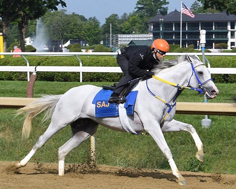White Abarrio (Irad Ortiz Jr. up) works outside of stablemate Midtown Lights covering a quarter-mile in 46.68 Sunday, July 26, 2026 at Saratoga Race Course White Abarrio (Irad Ortiz Jr. up) works outside of stablemate Midtown Lights covering a quarter-mile in 46.68 Sunday, July 26, 2026 at Saratoga Race Course