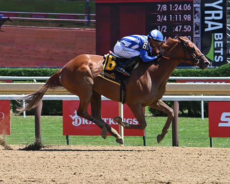 My Gun's Loaded, AOC, July 24 2026, Saratoga Race Course My Gun's Loaded, AOC, July 24 2026, Saratoga Race Course