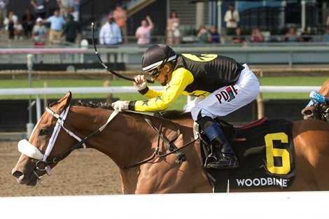 Highwaytothemoon wins the 2026 Plate Trial Stakes at Woodbine Highwaytothemoon wins the 2026 Plate Trial Stakes at Woodbine