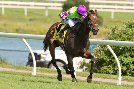 Vina Arana (IRE) wins the 2026 Nassau Stakes at Woodbine Vina Arana (IRE) wins the 2026 Nassau Stakes at Woodbine