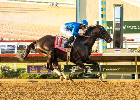 Godolphin LLC's Knightsbridge and jockey Junior Alvarado win the Grade I $1,000,000 Pacific Classic Saturday, August 22, 2026 at Del Mar Thoroughbred Club, Del Mar, CA. The Kentucky-bred son of Nyquist is trained by William I. Mott. Benoit Photo Godolphin LLC's Knightsbridge and jockey Junior Alvarado win the Grade I $1,000,000 Pacific Classic Saturday, August 22, 2026 at Del Mar Thoroughbred Club, Del Mar, CA. The Kentucky-bred son of Nyquist is trained by William I. Mott. Benoit Photo
