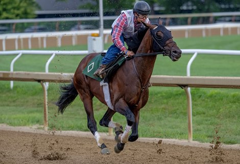 Whitney entrant Baeza works over the Oklahoma Training Center dirt track adjacent to the Saratoga Race Course Sunday Aug.2, 2026 in Saratoga Springs, N.Y. Photo by Skip Dickstein Whitney entrant Baeza works over the Oklahoma Training Center dirt track adjacent to the Saratoga Race Course Sunday Aug.2, 2026 in Saratoga Springs, N.Y. Photo by Skip Dickstein