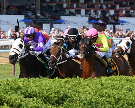 John the Beer Man wins the 2026 Troy Stakes at Saratoga Race Course John the Beer Man wins the 2026 Troy Stakes at Saratoga Race Course