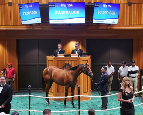 Hip 154, 2026 Saratoga Select Yearling Sale Hip 154, 2026 Saratoga Select Yearling Sale