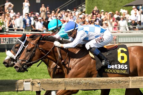 De la Renta wins the 2026 Soaring Free Stakes at Woodbine De la Renta wins the 2026 Soaring Free Stakes at Woodbine
