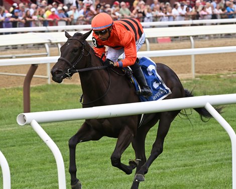 Brickyard Belle, Maiden Win, August 27 2026, Saratoga Race Course Brickyard Belle, Maiden Win, August 27 2026, Saratoga Race Course