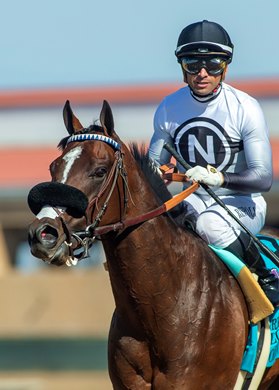 Irish-bred Sorrento Sky and jockey Umberto Rispoli, right, win the Grade II $200,000 Green Flash Handicap Saturday, August 22, 2026 at Del Mar Thoroughbred Club, Del Mar, CA. <br>
Benoit Photo Irish-bred Sorrento Sky and jockey Umberto Rispoli, right, win the Grade II $200,000 Green Flash Handicap Saturday, August 22, 2026 at Del Mar Thoroughbred Club, Del Mar, CA. <br>
Benoit Photo