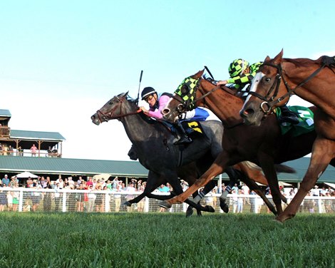 Meringue wins the 2025 Kentucky Downs Juvenile Fillies Stakes at Kentucky Downs Meringue wins the 2025 Kentucky Downs Juvenile Fillies Stakes at Kentucky Downs
