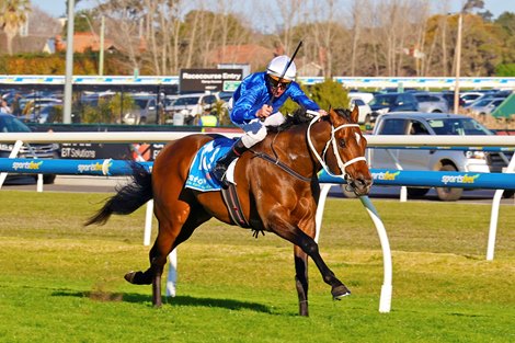 Beiwacht wins the 2026 Memsie Stakes at Caulfield Racecourse ridden by Nash Rawiller and trained by Chris Waller Beiwacht wins the 2026 Memsie Stakes at Caulfield Racecourse ridden by Nash Rawiller and trained by Chris Waller