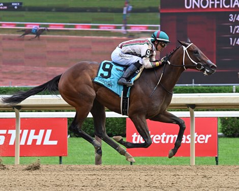 Summer Starlet, Maiden Win, August 8 2026, Saratoga Race Course Summer Starlet, Maiden Win, August 8 2026, Saratoga Race Course