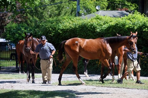 Scenics, 2026 Fasig-Tipton New York Bred Sale Scenics, 2026 Fasig-Tipton New York Bred Sale