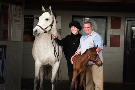Owner/breeder Marie Jones and Frank Taylor with Rubies Are Red, a half sister to multiple leading sire Tapit. Owner/breeder Marie Jones and Frank Taylor with Rubies Are Red, a half sister to multiple leading sire Tapit.