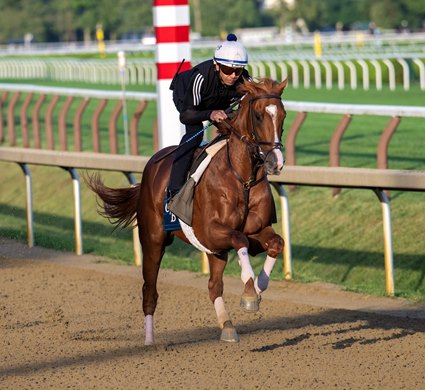 Travers probable entrant Sea Strike has his final speed work before next Saturday’s Travers Stakes at the Saratoga Race Course Saturday Aug.22, 2026 in Saratoga Springs, N.Y. Travers probable entrant Sea Strike has his final speed work before next Saturday’s Travers Stakes at the Saratoga Race Course Saturday Aug.22, 2026 in Saratoga Springs, N.Y.