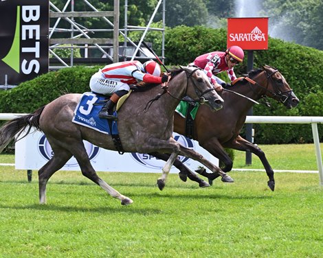 Voyager, Maiden Win, August 1 2026, Saratoga Race Course Voyager, Maiden Win, August 1 2026, Saratoga Race Course