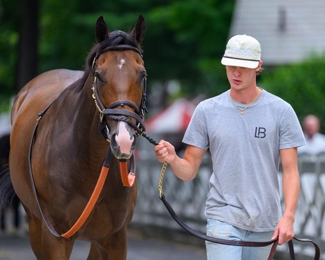 Bring the Smoke Saratoga scenes at Saratoga Race Course in Saratoga Springs, N.Y., on August 27, 2026. Bring the Smoke Saratoga scenes at Saratoga Race Course in Saratoga Springs, N.Y., on August 27, 2026.