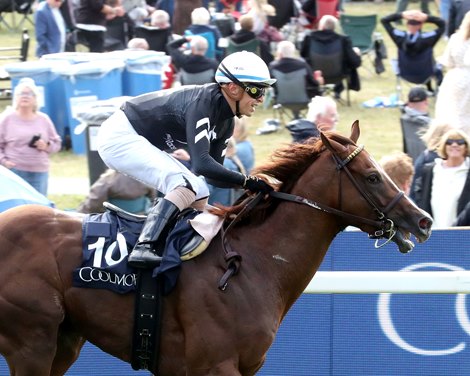 Bacio - Coolmore City Of Troy Nunthrope Stakes Group 1 - York Racecourse - Race 04 - Group 1 Bacio - Coolmore City Of Troy Nunthrope Stakes Group 1 - York Racecourse - Race 04 - Group 1