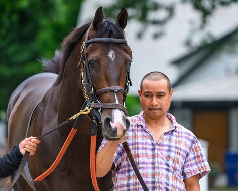Ocelli Saratoga scenes at Saratoga Race Course in Saratoga Springs, N.Y., on August 27, 2026. Ocelli Saratoga scenes at Saratoga Race Course in Saratoga Springs, N.Y., on August 27, 2026.