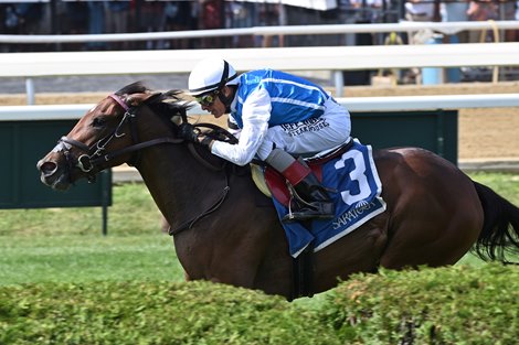 Embouteillage, Maiden Win, August 5 2026, Saratoga Race Course Embouteillage, Maiden Win, August 5 2026, Saratoga Race Course