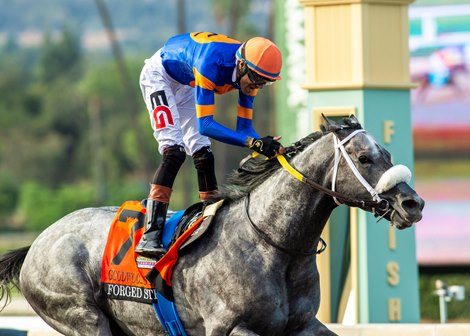 Forged Steel and jockey Edwin Gonzalez win the Grade I $300,000 Goodwood Stakes Saturday, September 26, 2026 at Santa Anita Park, Arcadia, CA. Benoit Photo Forged Steel and jockey Edwin Gonzalez win the Grade I $300,000 Goodwood Stakes Saturday, September 26, 2026 at Santa Anita Park, Arcadia, CA. Benoit Photo