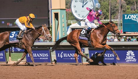 Champagne Room with Mario Gutierrez up wins the Breeders' Cup Juvenile Fillies (G1) at Santa Anita on Nov. 5, 2016, in Arcadia, California. Champagne Room with Mario Gutierrez up wins the Breeders' Cup Juvenile Fillies (G1) at Santa Anita on Nov. 5, 2016, in Arcadia, California.