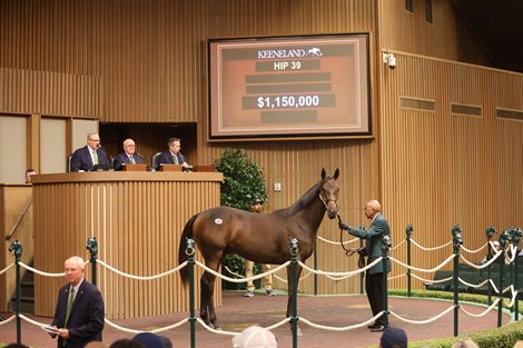 Hip 39, 2026 Keeneland September Sale Hip 39, 2026 Keeneland September Sale