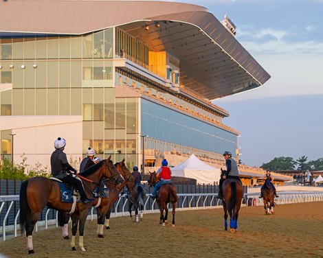 Horses training on the main track. Breeders’ Cup veterinary guide images and scenes at Belmont Park in Elmont, New York., on Sept. 17, 2026. Horses training on the main track. Breeders’ Cup veterinary guide images and scenes at Belmont Park in Elmont, New York., on Sept. 17, 2026.