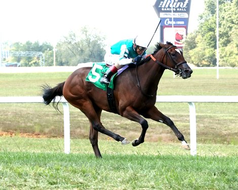 Medinah, Maiden Win, September 9 2026, Kentucky Downs Medinah, Maiden Win, September 9 2026, Kentucky Downs