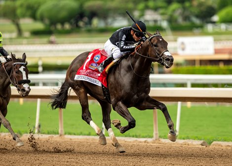 Listenupshance and jockey Emisael Jaramillo win the Grade II $200,000 Santa Anita Sprint Championship Sunday, September 27, 2026 at Santa Anita Park, Arcadia, CA. The 4-year-old gelded son of Shancelot is owned by Run Fast Racing and Great Friends Stables and is trained by Doug O’Neill.<br>
Benoit Photo Listenupshance and jockey Emisael Jaramillo win the Grade II $200,000 Santa Anita Sprint Championship Sunday, September 27, 2026 at Santa Anita Park, Arcadia, CA. The 4-year-old gelded son of Shancelot is owned by Run Fast Racing and Great Friends Stables and is trained by Doug O’Neill.<br>
Benoit Photo
