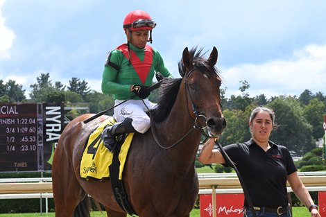 U. S. S. Valor, Maiden Win, September 5 2026, Saratoga Race Course U. S. S. Valor, Maiden Win, September 5 2026, Saratoga Race Course