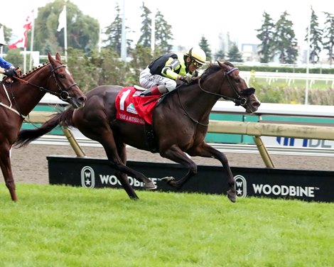 Gimme a Nother (SAF) wins the 2026 E. P. Taylor Stakes at Woodbine Gimme a Nother (SAF) wins the 2026 E. P. Taylor Stakes at Woodbine
