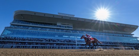 Forever Young #7 with jockey Yoshito Yahagi comes to the finish line under the late afternoon sun to win the running of The Jockey Club Gold Cup at the new Belmont Park showcased its new building Saturday Sept. 18, 2026 in Elmont, N.Y. Photo by Skip Dickstein Forever Young #7 with jockey Yoshito Yahagi comes to the finish line under the late afternoon sun to win the running of The Jockey Club Gold Cup at the new Belmont Park showcased its new building Saturday Sept. 18, 2026 in Elmont, N.Y. Photo by Skip Dickstein