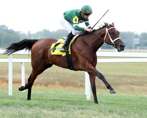 Monique En Vol, Maiden Win, September 5 2026, Kentucky Downs Monique En Vol, Maiden Win, September 5 2026, Kentucky Downs