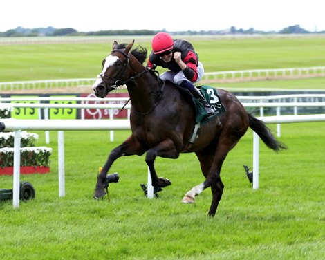 Folsom Blues (IRE) wins the 2026 Vincent O'Brien National Stakes at The Curragh Folsom Blues (IRE) wins the 2026 Vincent O'Brien National Stakes at The Curragh