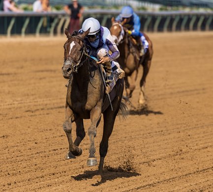 Manuka Honey (Upstart) and Luis Saez win the 2026 Pocahontas S. (Gr.III), earn Kentucky Oaks points and a WAYI invite to the Breeder's Cup Juvenile Fillies at Keeneland. Manuka Honey (Upstart) and Luis Saez win the 2026 Pocahontas S. (Gr.III), earn Kentucky Oaks points and a WAYI invite to the Breeder's Cup Juvenile Fillies at Keeneland.