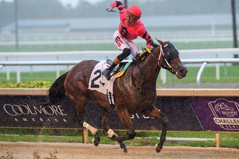Kerry's Kiss wins the 2026 Princess Rooney Stakes at Gulfstream Park Kerry's Kiss wins the 2026 Princess Rooney Stakes at Gulfstream Park