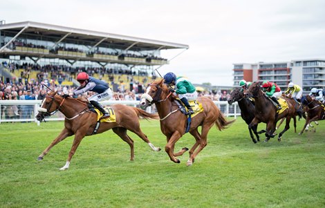 Miss Yechance (Jack Nicholls,left) beats Shagraan (Silvestre de Sousa) in the Group 3 5f race Newbury 19.9.26 Pic: Edward Whitaker Miss Yechance (Jack Nicholls,left) beats Shagraan (Silvestre de Sousa) in the Group 3 5f race Newbury 19.9.26 Pic: Edward Whitaker