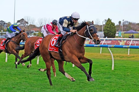 Birdman wins the 2026 Underwood Stakes at Caulfield Racecourse ridden by Ben Melham and trained by Chris Waller Birdman wins the 2026 Underwood Stakes at Caulfield Racecourse ridden by Ben Melham and trained by Chris Waller