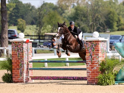 Document (aka Hollywood) and Amanda Prescott win 2026 TAKE2 Jumper Final at Split Rock's Kentucky National Horse Show hosted at the Kentucky Horse Park in Lexington, Ky. Document (aka Hollywood) and Amanda Prescott win 2026 TAKE2 Jumper Final at Split Rock's Kentucky National Horse Show hosted at the Kentucky Horse Park in Lexington, Ky.